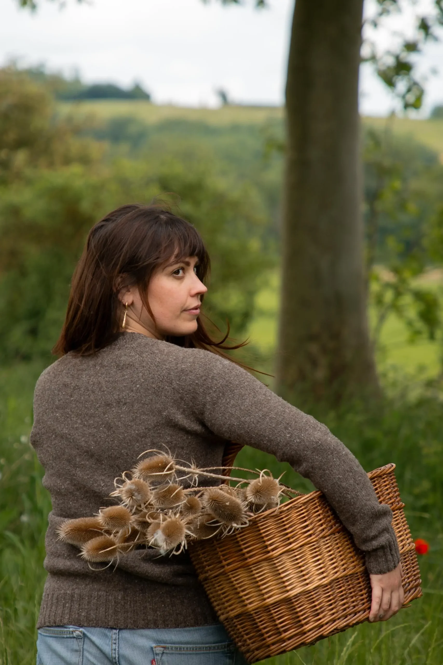 Pull Asphodèle gris anthracite