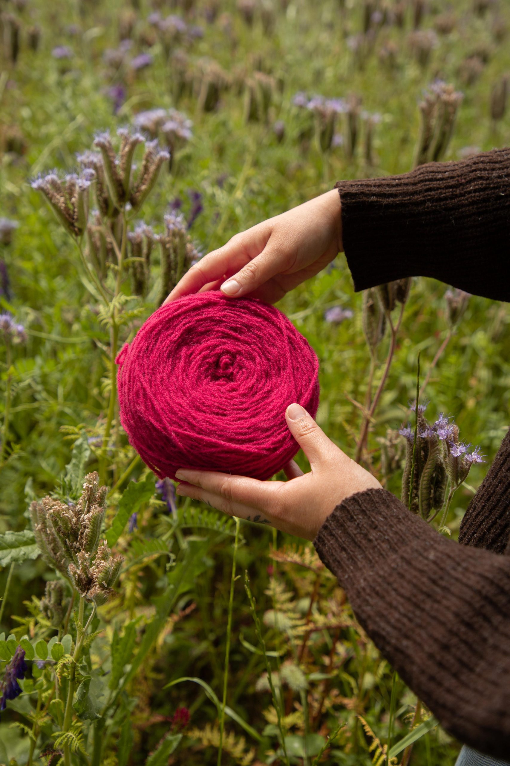 Pelotes de laine rose - ecru