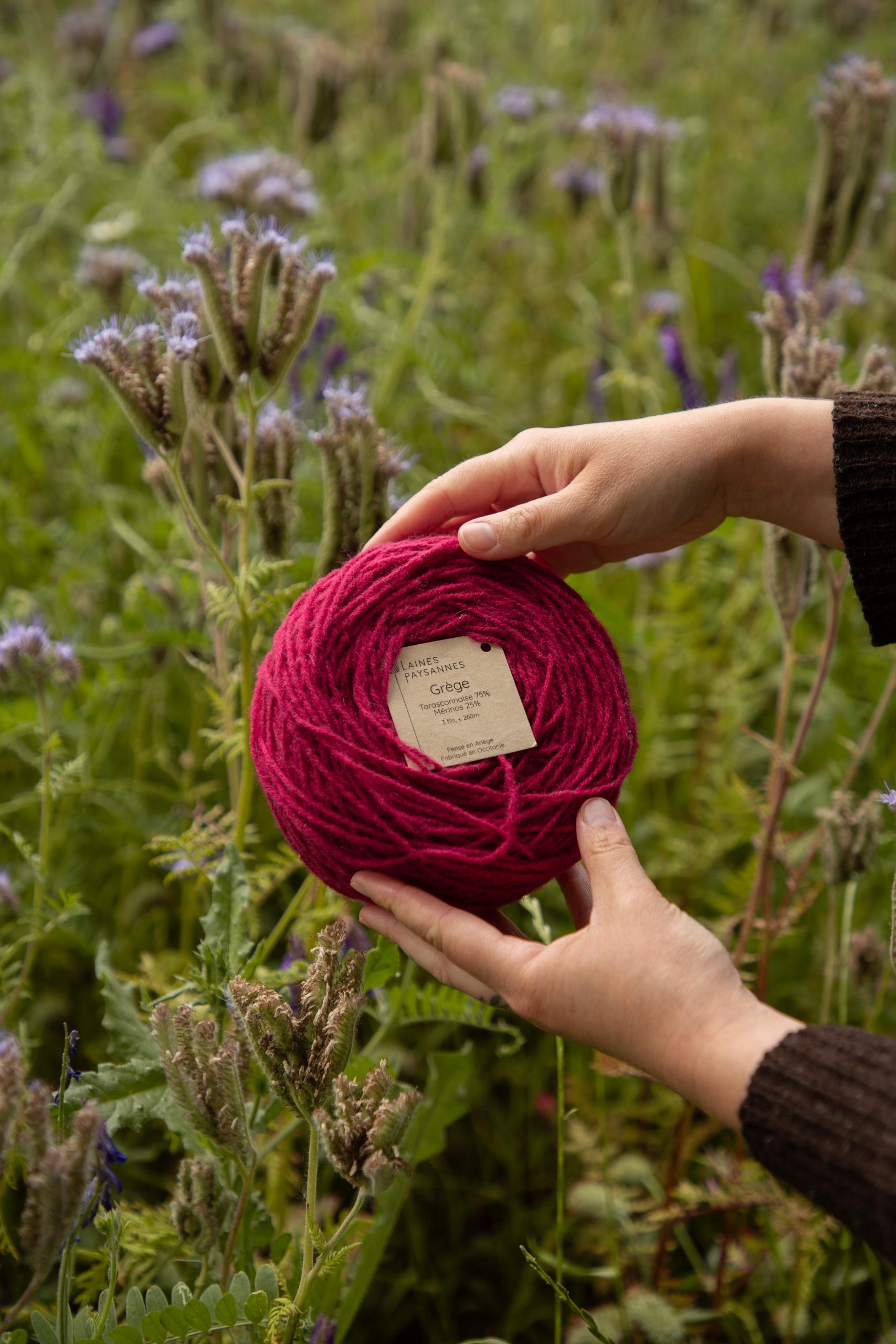 Pelotes de laine rose - grege