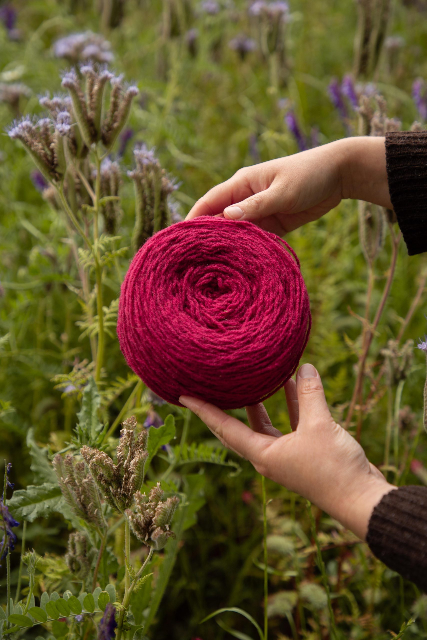Pelotes de laine rose - grege