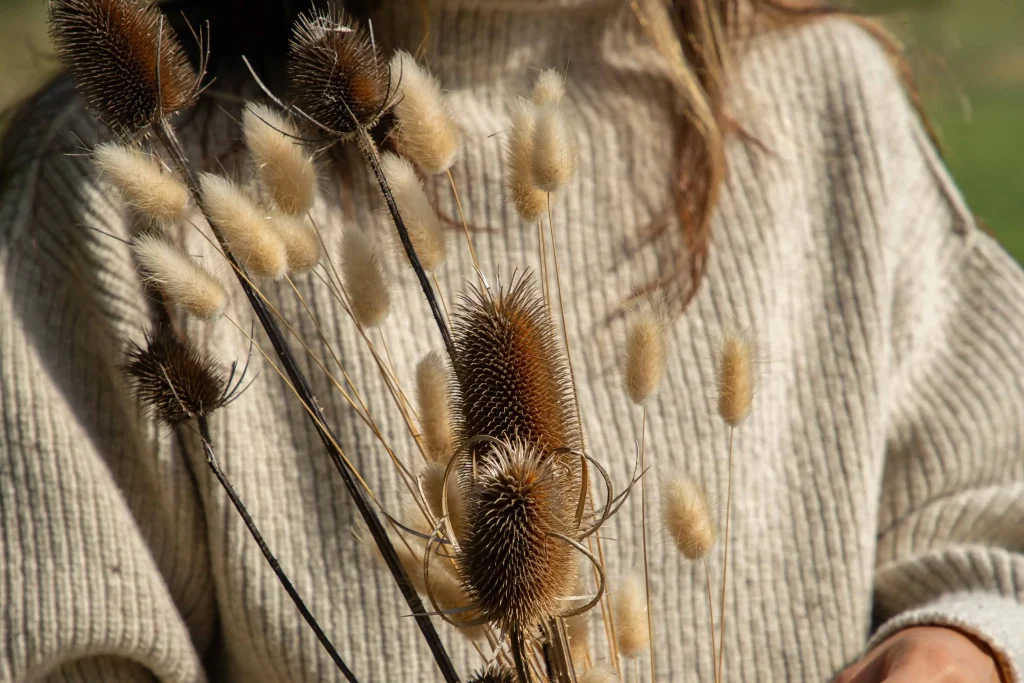 Pull en laine mérinos agami